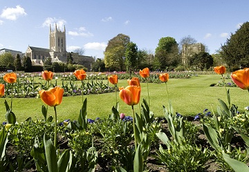 Abbey Gardens